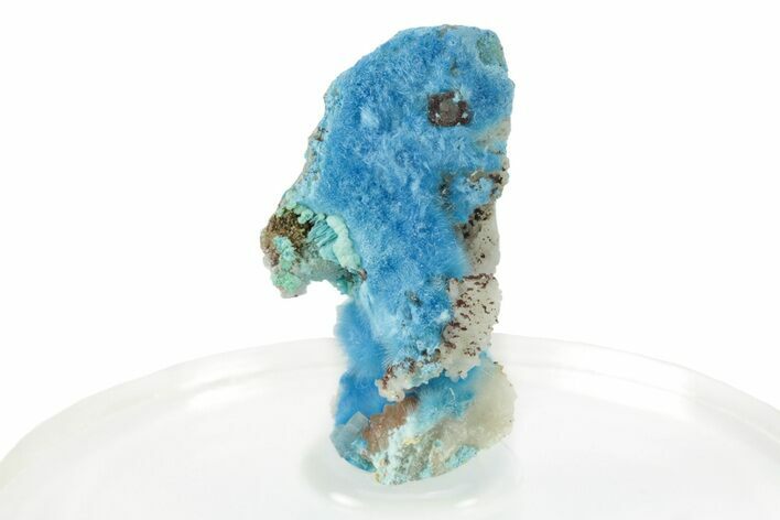 Vibrant Blue Cyanotrichite Crystal Aggregates - China #238795